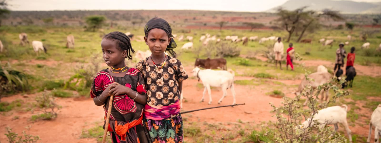 8 Ethiopia Facts Poverty, Progress, and What You Should